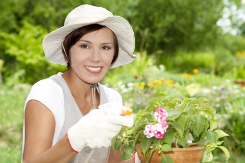 Healthy plants with proper irrigation