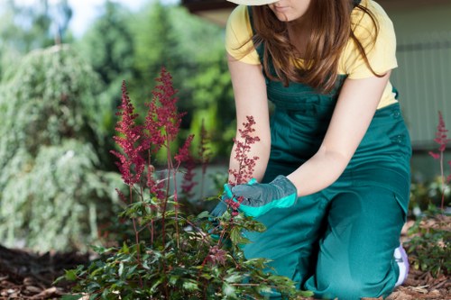 Volunteer managing compost pile in sustainable gardening area