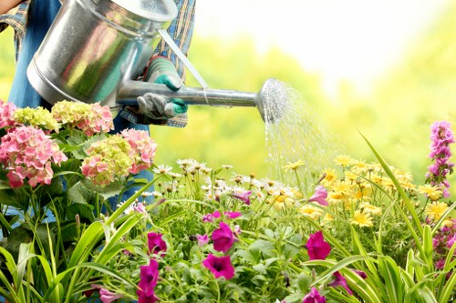Professional gardening service by Gardener Parsons Green